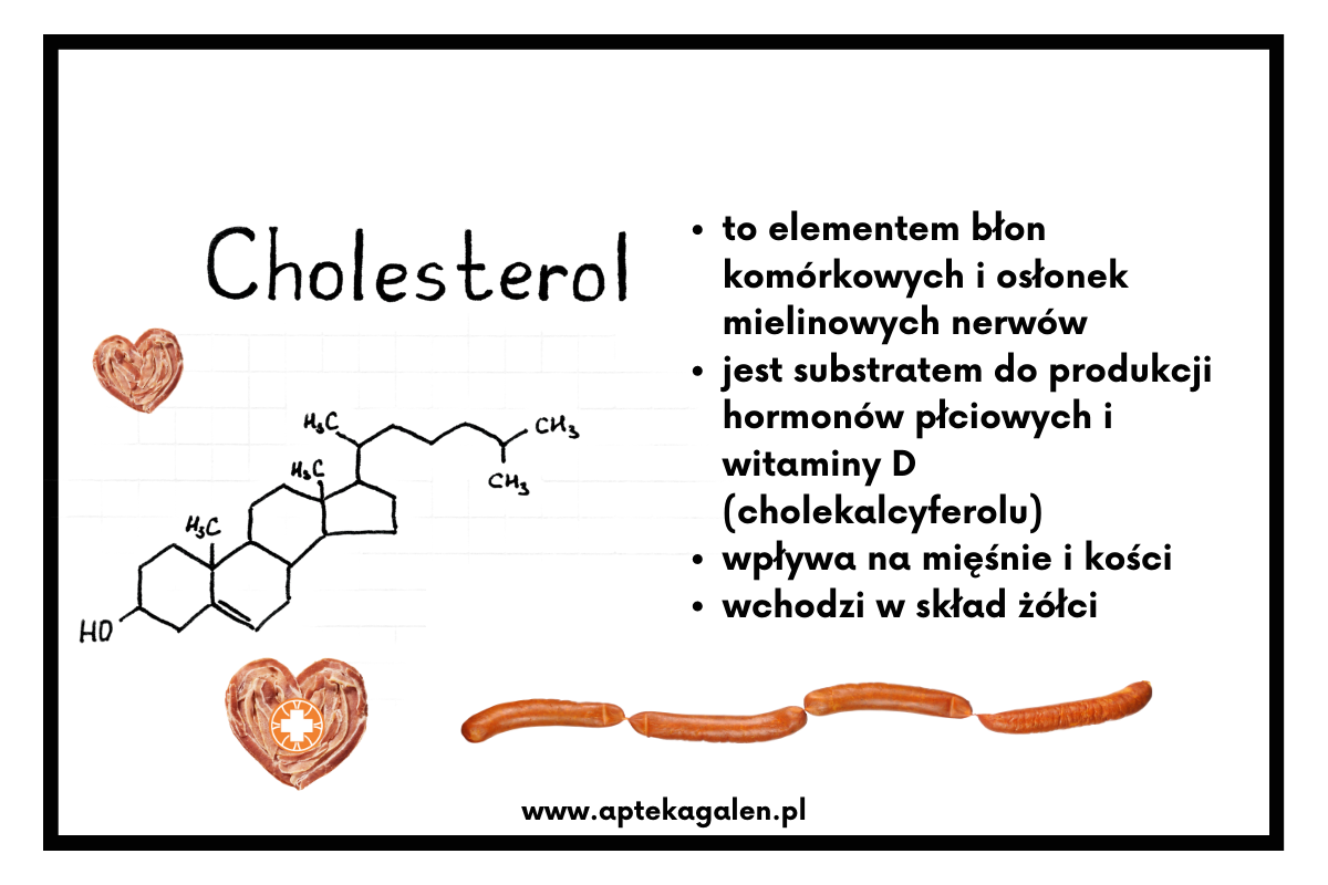 Co to jest cholesterol i jakie są jego funkcje?
