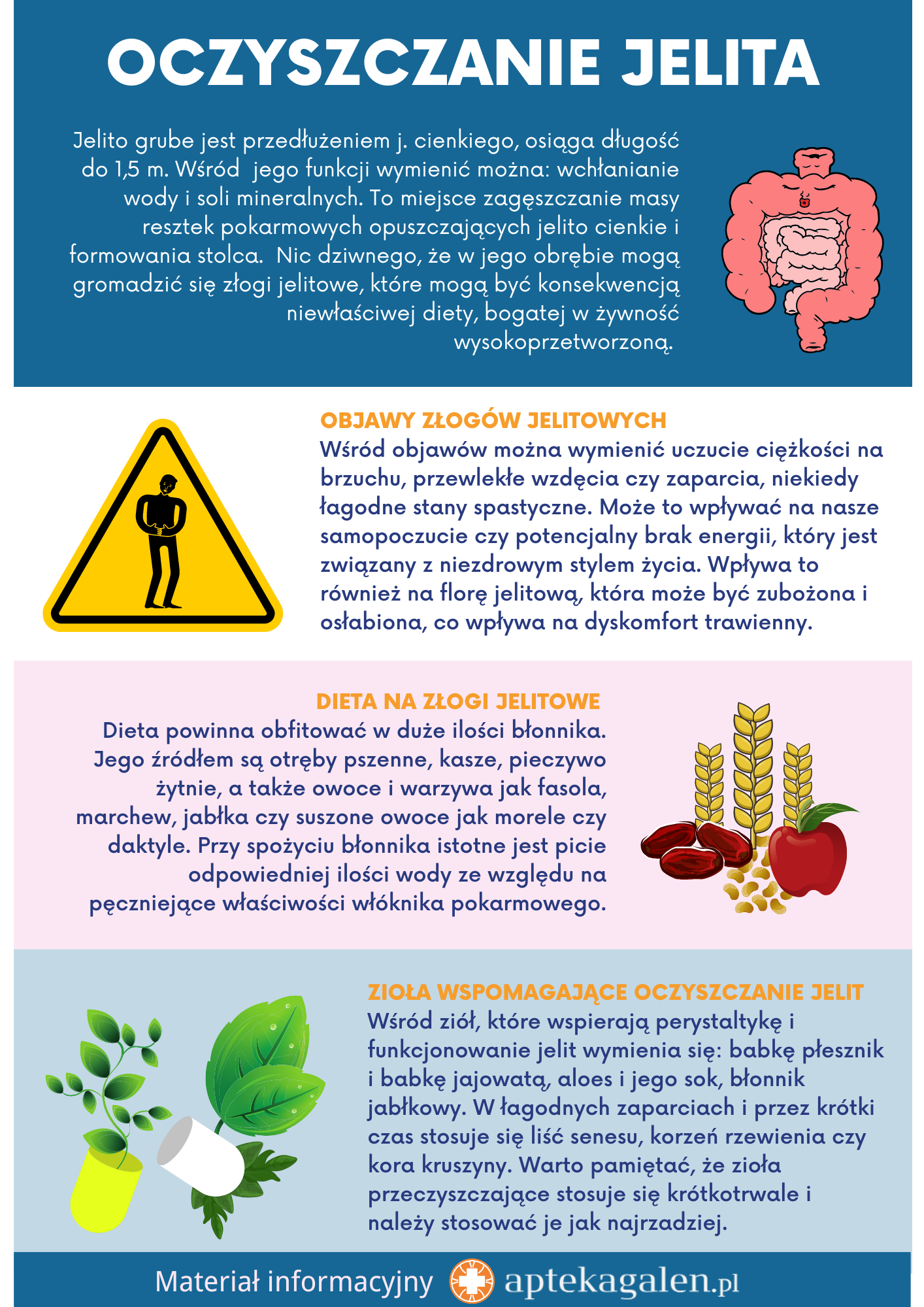 Oczyszczanie jelit i złogi jelitowe - infografika - apteka internetowa Galen